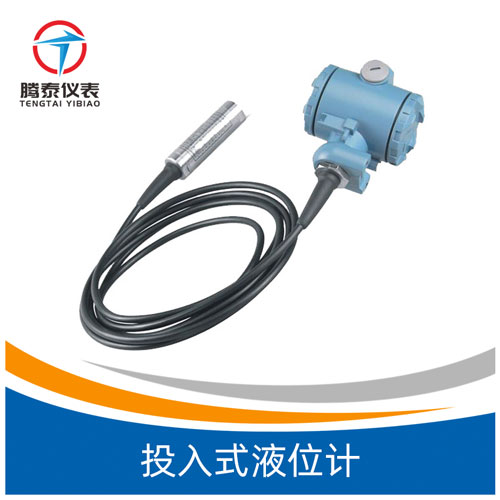 <b>投入式液位計</b> <b>投入式液位計</b>