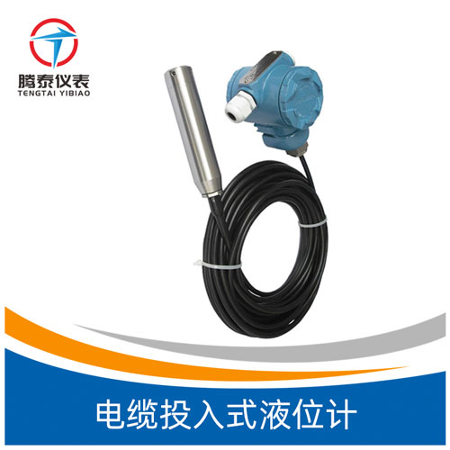 <b>電纜投入式液位計</b> <b>電纜投入式液位計</b>